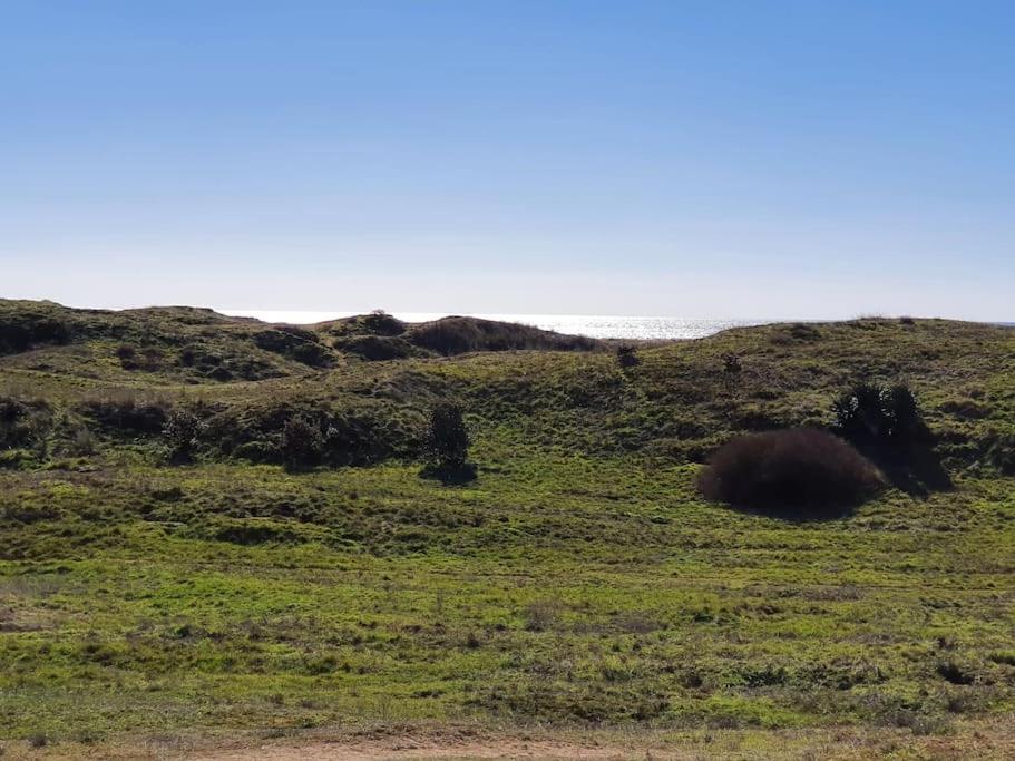 Apartment T2 Face Dunes Et Ocean - Proche Golf Et Thalassotherapie